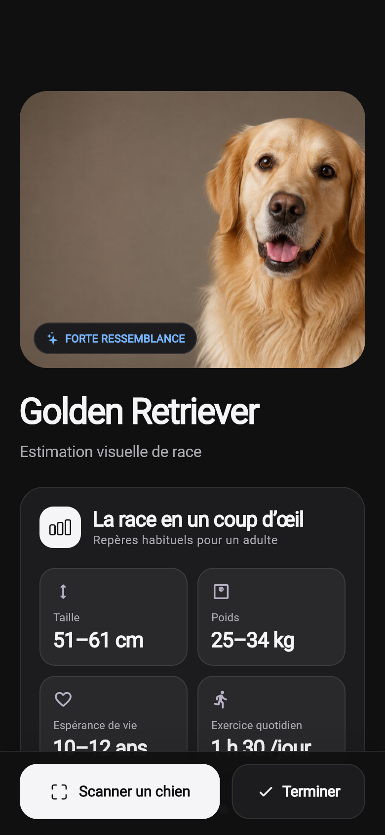 Interface de BreedPeek affichant un résultat d’exemple Golden Retriever et sa fiche de race